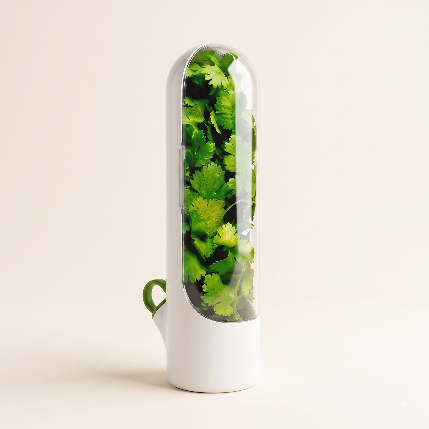 Herb Keeper Storage Container for Refrigerator | Fresh Herb Saver with Water Reservoir for Cilantro, Mint, Parsley, Coriander, Asparagus & Leafy Greens | Vegetable Freshness Preservation Box